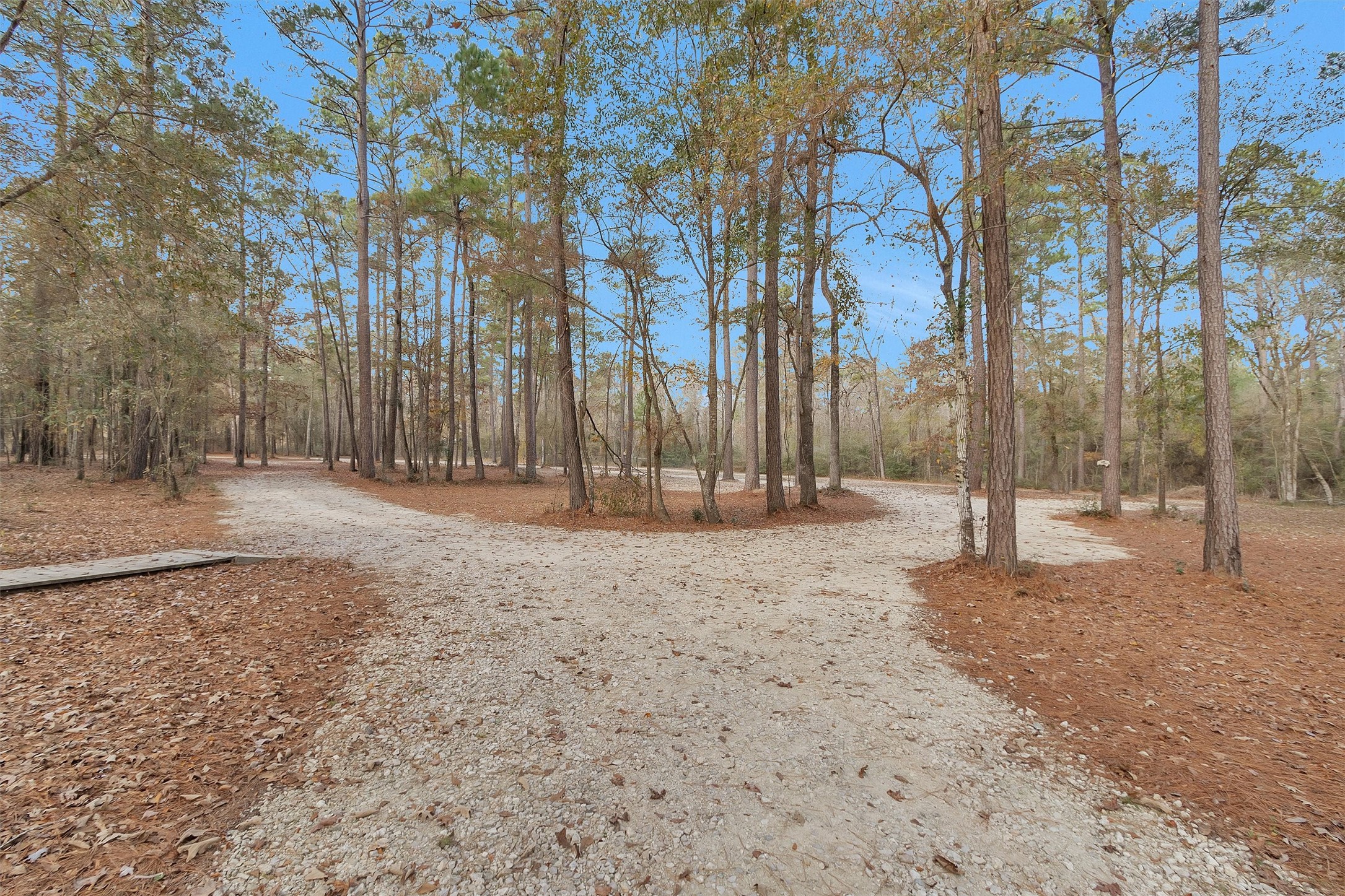 215 Fm 2929 Road Huntsville, TX 77340 - Photo 41 of 50 a view of outdoor space with trees