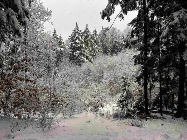 $2,500 | 280 Lakeshore Drive, Franklin, NH 03235