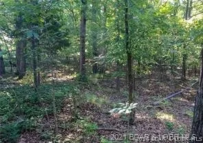 $465,000 | 17-18 19 20 Oak Bend Road, Sunrise Beach, MO 65079