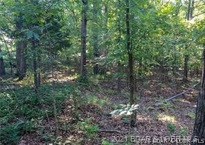 17-18 19 20 Oak Bend Road Sunrise Beach, MO 65079 - Photo 8 of 10