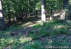 $465,000 | 17-18 19 20 Oak Bend Road, Sunrise Beach, MO 65079