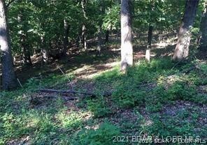 17-18 19 20 Oak Bend Road Sunrise Beach, MO 65079 - Photo 9 of 10