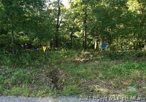 17-18 19 20 Oak Bend Road Sunrise Beach, MO 65079 - Photo 10 of 10