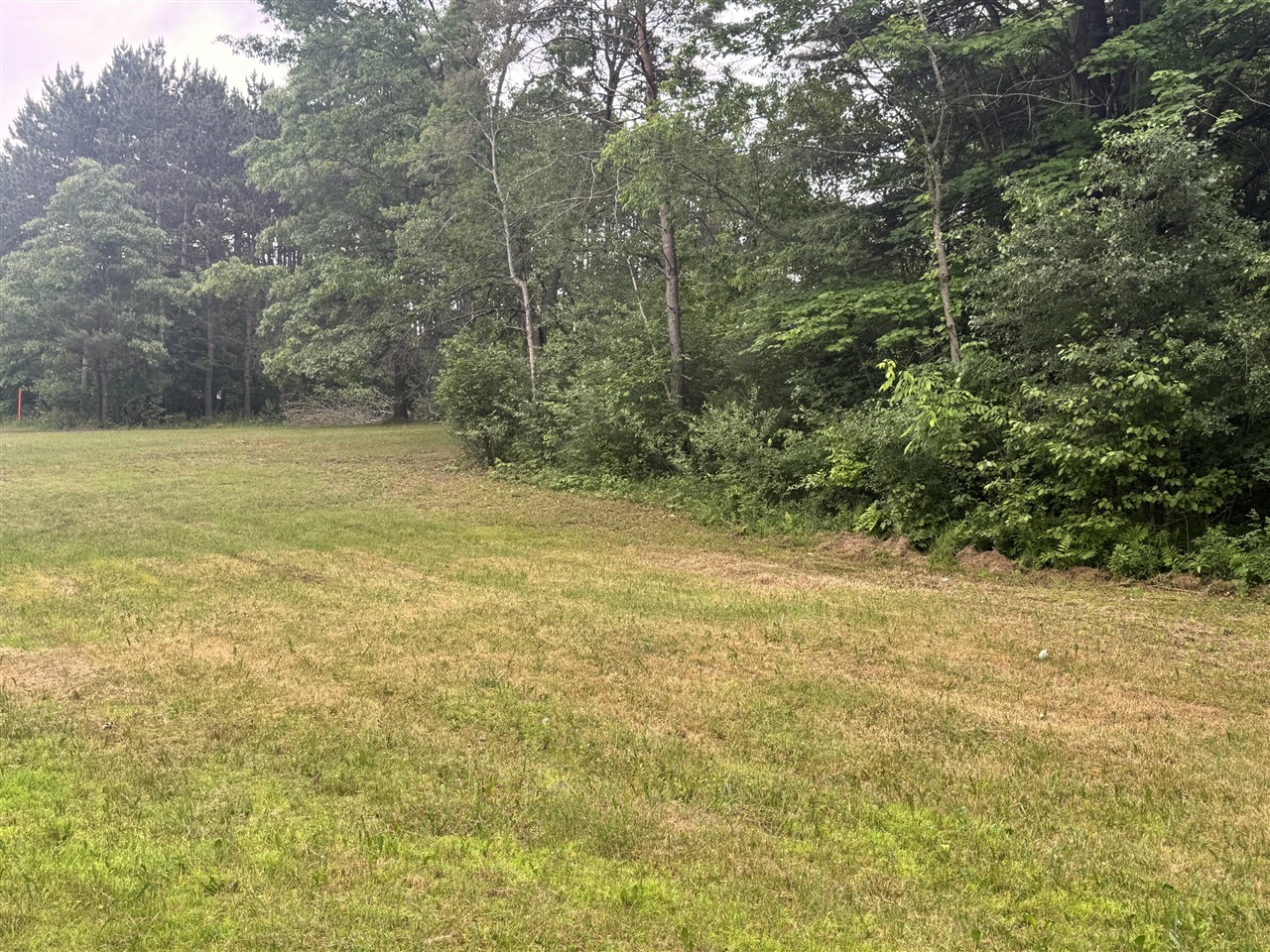 19030 West Almy Road Howard City, MI 49329 - Photo 26 of 33