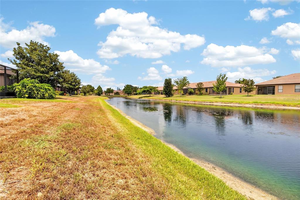 132 Shell Falls Drive Apollo Beach, FL 33572 - Photo 61 of 97