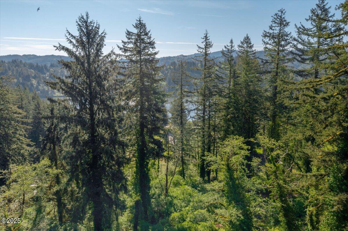 1600 Criteser Loop Toledo, OR 97391 - Photo 8 of 12 08-DJI_0692