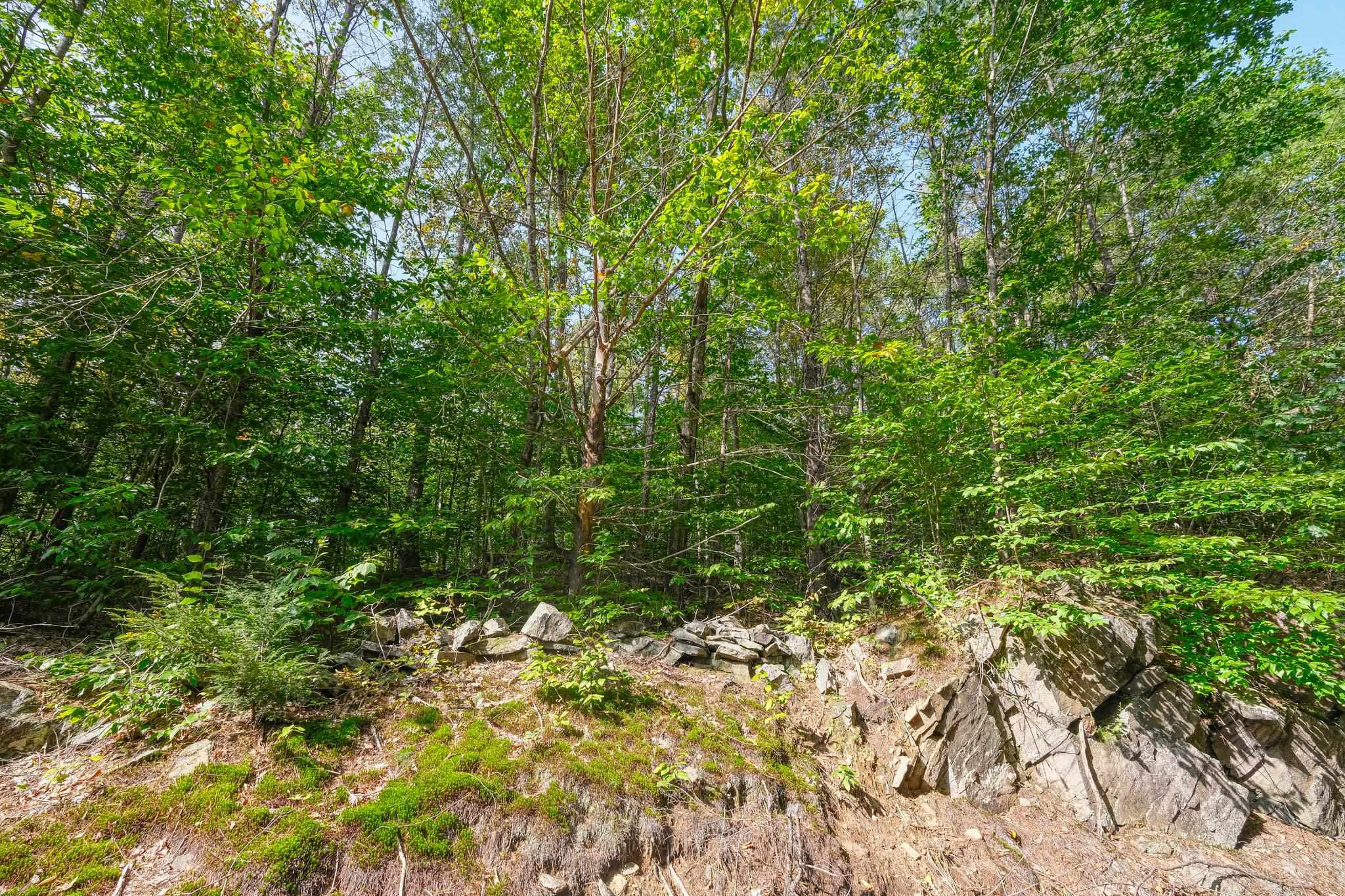 0 Densmore Road Cavendish, VT 05142 - Photo 12 of 15