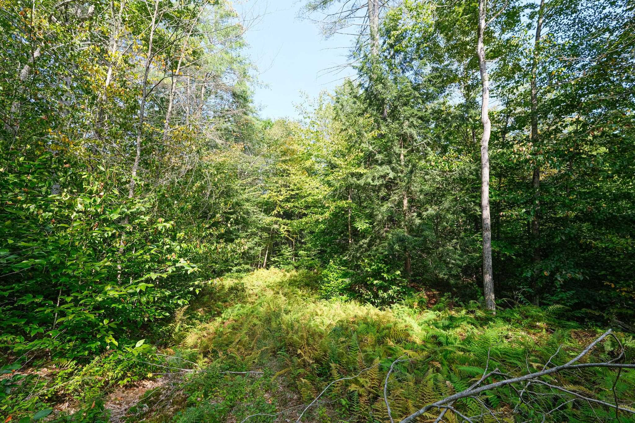 0 Densmore Road Cavendish, VT 05142 - Photo 15 of 15