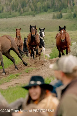 $25,000,000 | 24700 Cottonwood Creek Road, Jackson, WY 83001