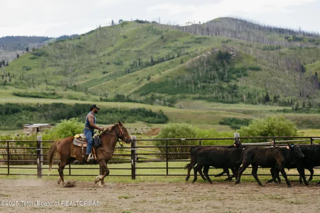 $25,000,000 | 24700 Cottonwood Creek Road, Jackson, WY 83001