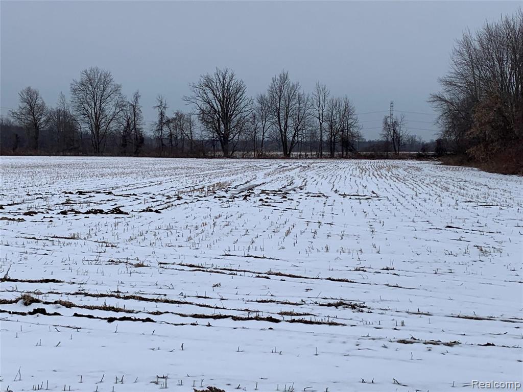 17134 34 Mile Road Armada, MI 48005 - Photo 1 of 5 Gallery Image 1