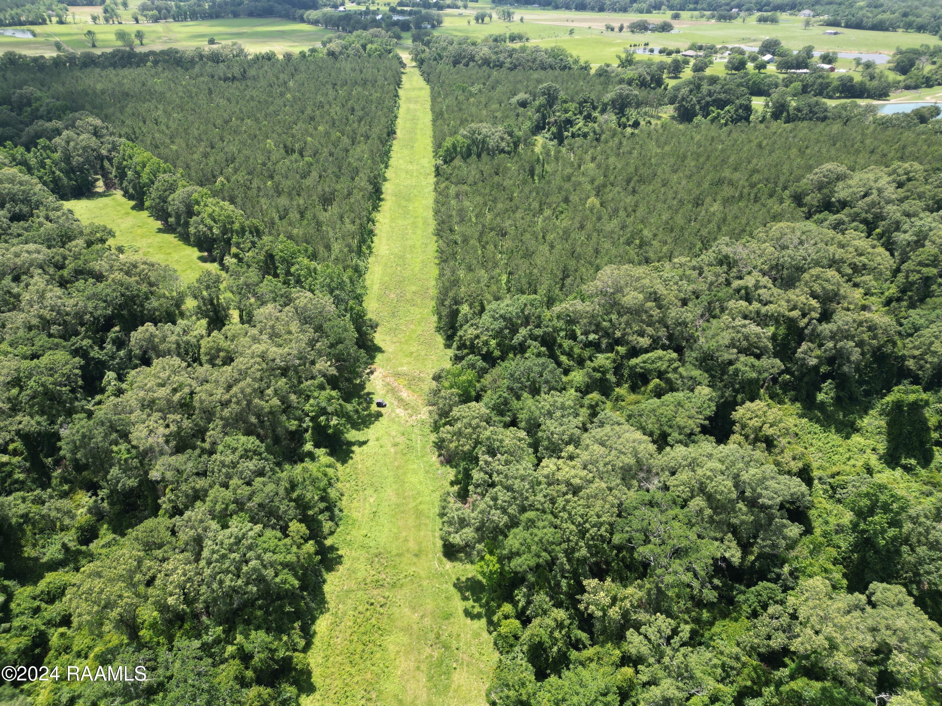 0 Herbert Ortego Road Washington, LA 70589 - Photo 12 of 18