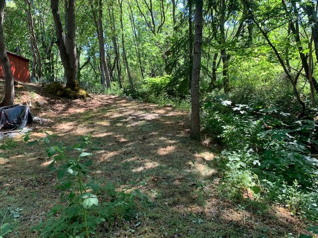 825 Neil Creek Road Ashland, OR 97520 - Photo 16 of 23 cleared ground