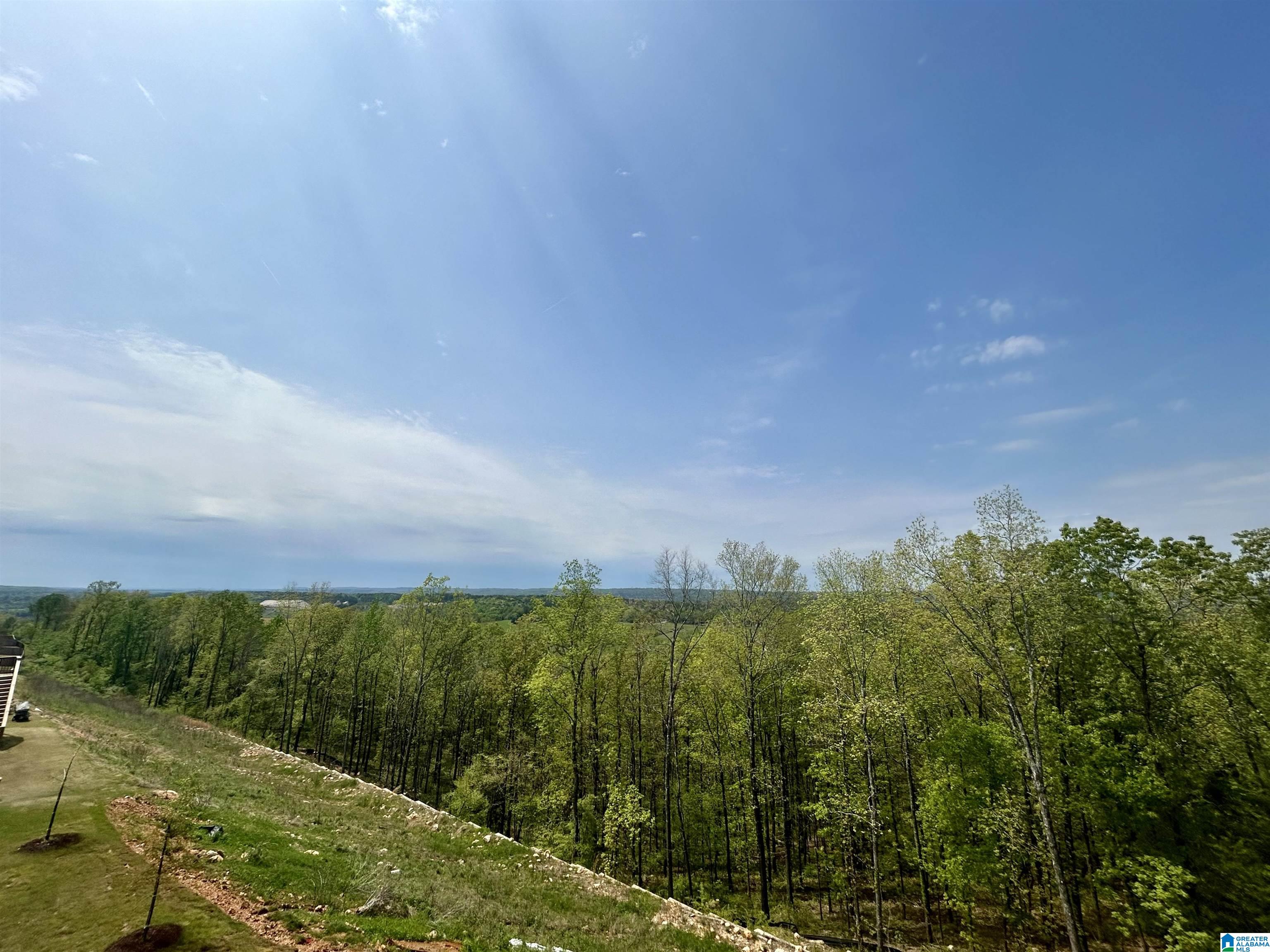 1141 Camellia Ridge Drive Pelham, AL 35124 - Photo 43 of 43