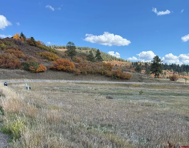 a view of a big yard with large trees