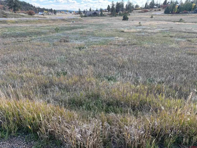 a view of field with trees in background