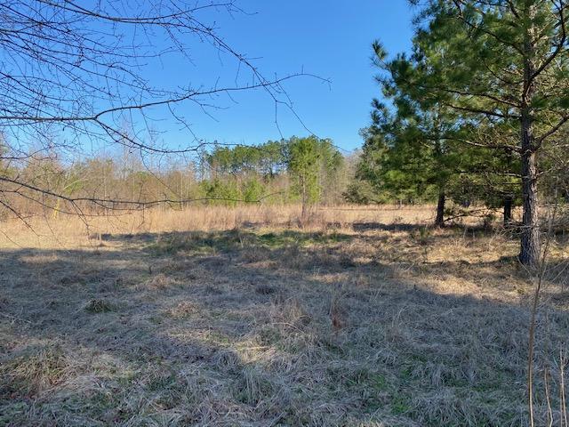 872 Mt Zion Road St. George, SC 29477 - Photo 14 of 20 IMG_0901