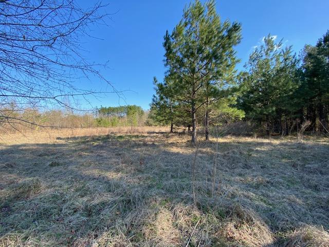 872 Mt Zion Road St. George, SC 29477 - Photo 15 of 20 IMG_0902