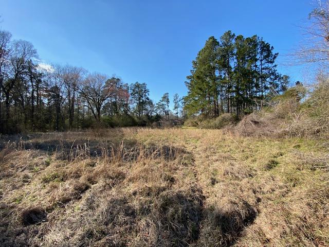 872 Mt Zion Road St. George, SC 29477 - Photo 16 of 20 IMG_0903