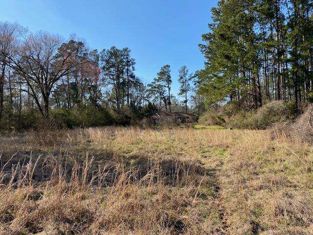 872 Mt Zion Road St. George, SC 29477 - Photo 17 of 20 IMG_0904