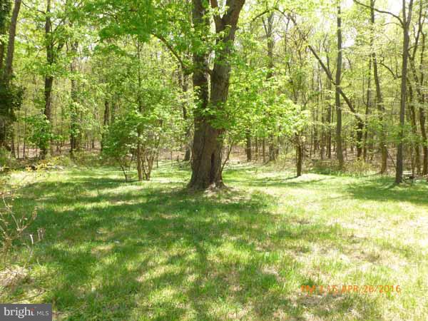 1259 Reece Road Severn, MD 21144 - Photo 29 of 30 Yard