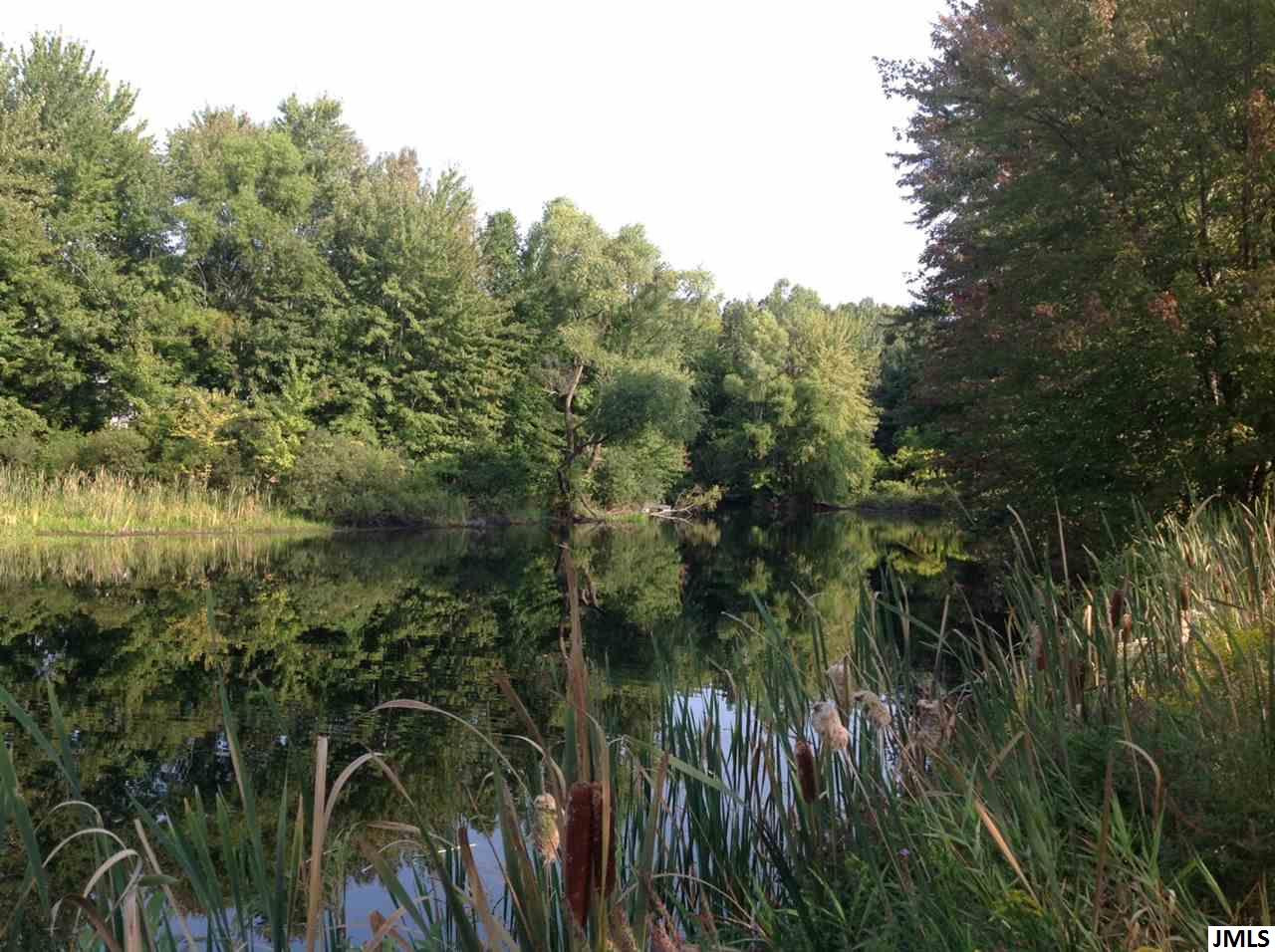 6330 McCain Road Spring Arbor, MI 49283 - Photo 8 of 36 Photo 8