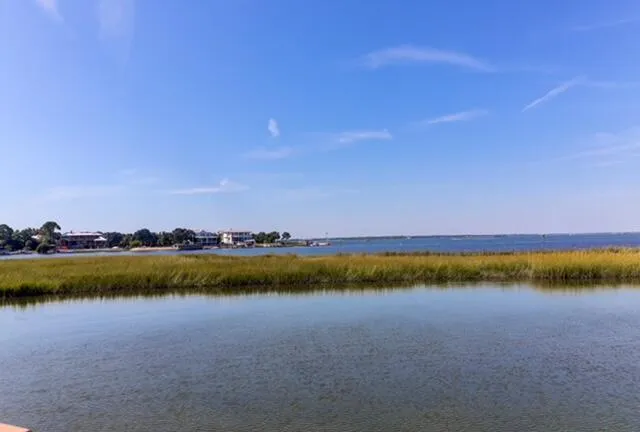 $1,340,000 | 1416 Glencoe Drive, Mount Pleasant, SC 29464