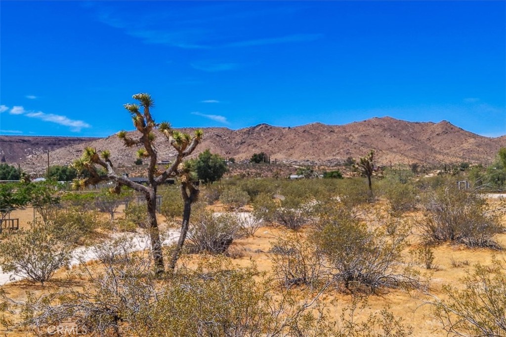 55926 Tanager Road Yucca Valley, CA 92284 - Photo 1 of 24 Gallery Image 1