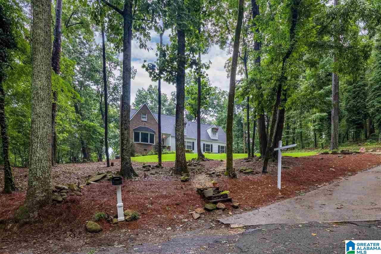 185 Mountain Drive Oneonta, AL 35121 - Photo 4 of 50