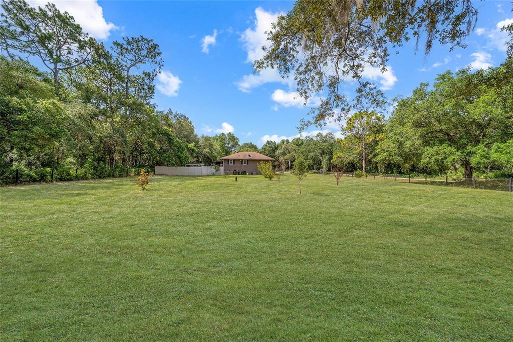15755 Southwest 90th Avenue Dunnellon, FL 34432 - Photo 49 of 55