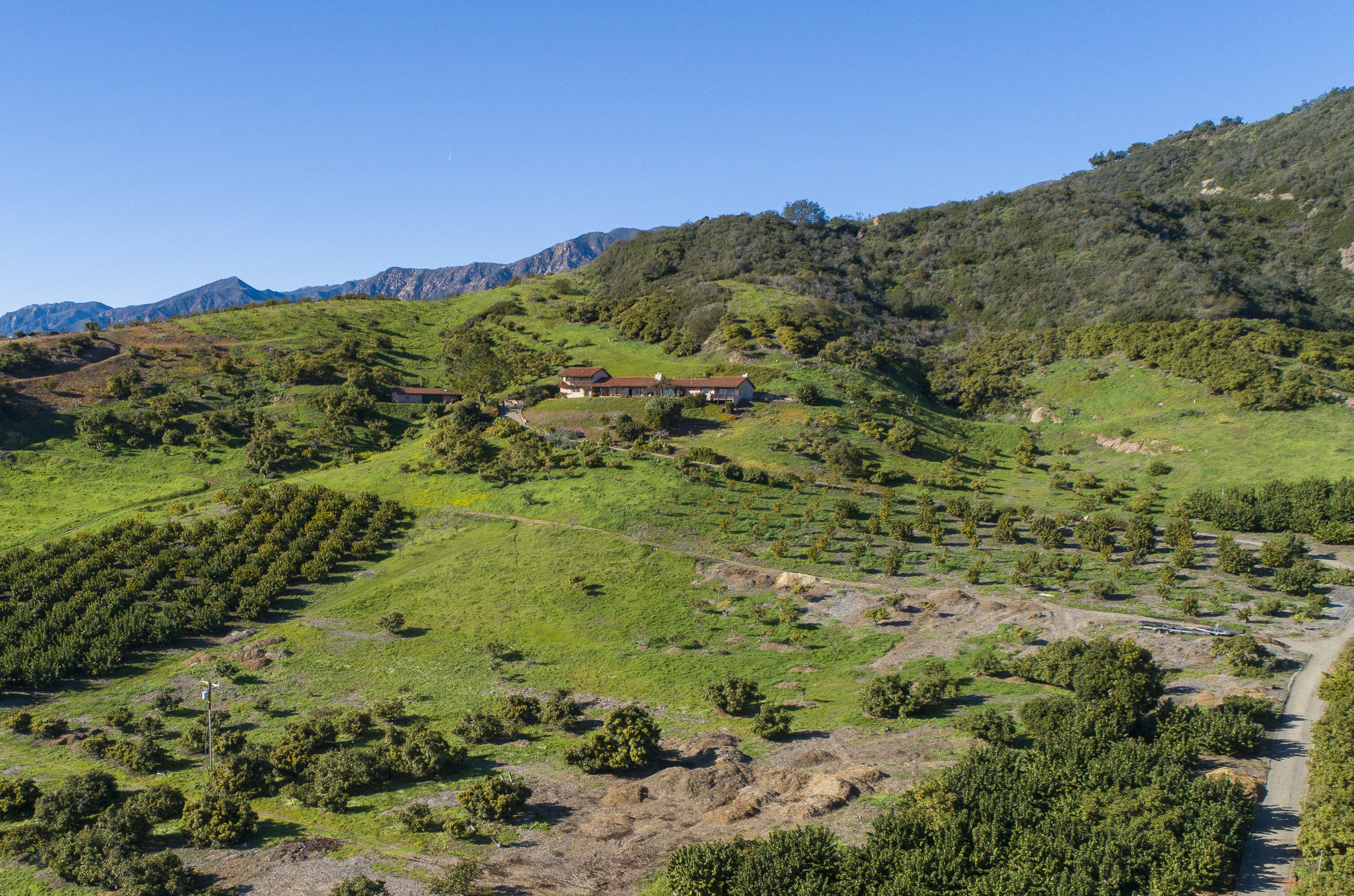3330 Foothill Road Carpinteria, CA 93013 - Photo 13 of 17 10. Property from bottom of driveway_333