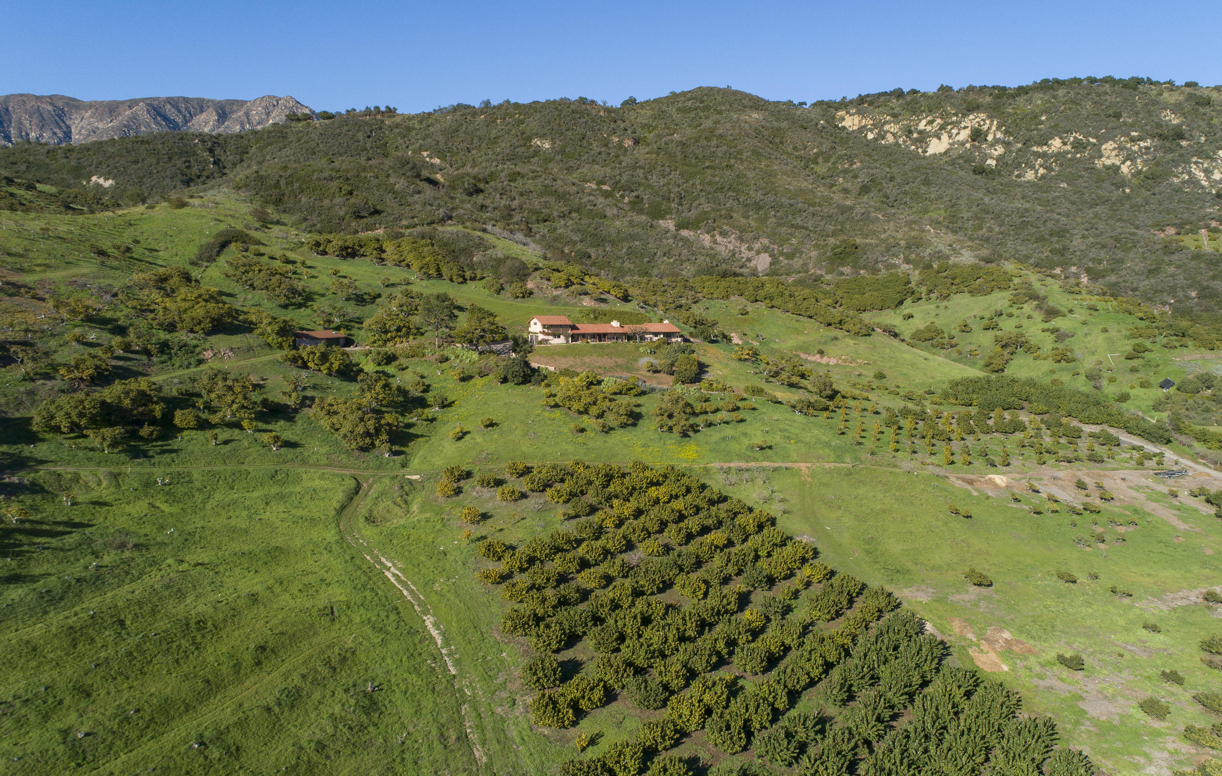 3330 Foothill Road Carpinteria, CA 93013 - Photo 14 of 17 10a. Property mountain perspective_3330