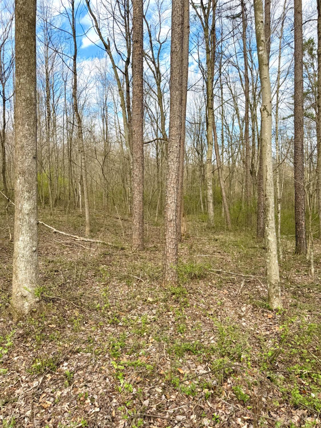 0 Fyffe Hollow Road Chillicothe, OH 45601 - Photo 10 of 96