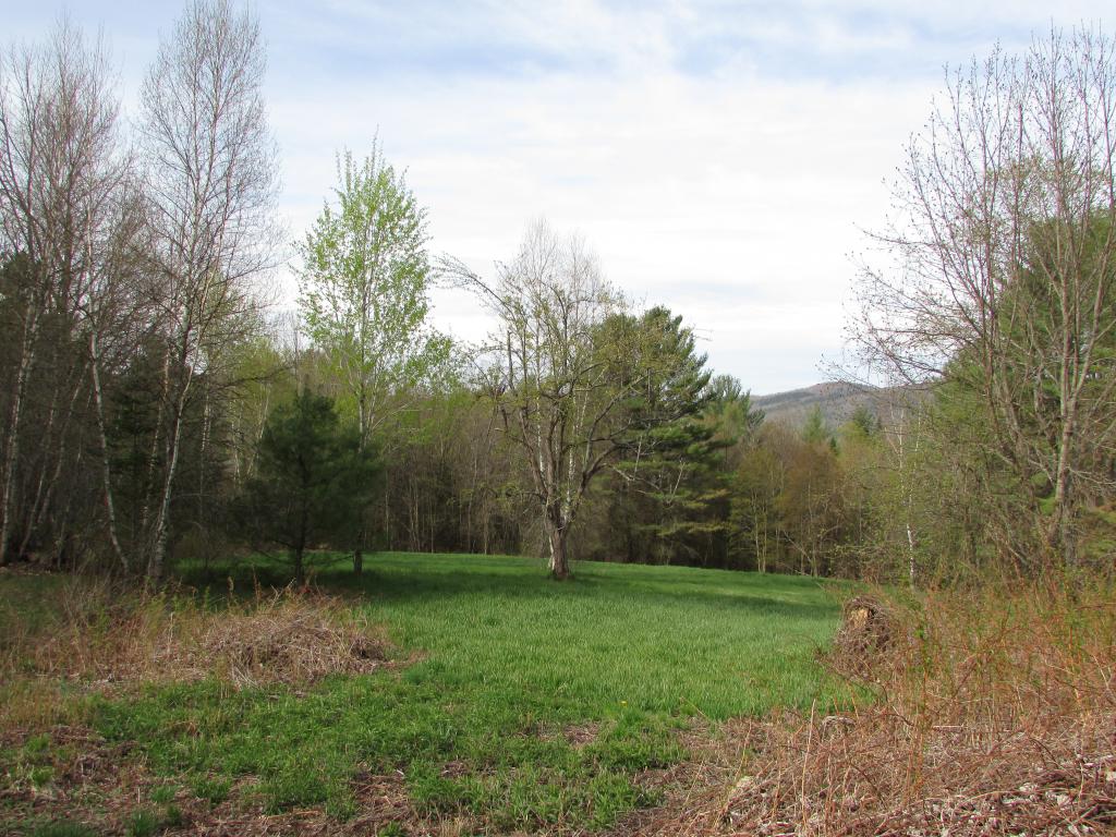 51 Barney Hill Road Grafton, NH 03240 - Photo 7 of 8 Gallery Image 7
