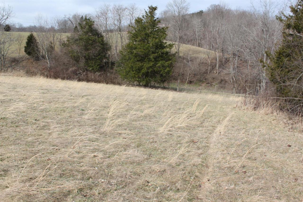 230 Wilson Ridge Road Science Hill, KY 42553 - Photo 8 of 12 Additional Photo