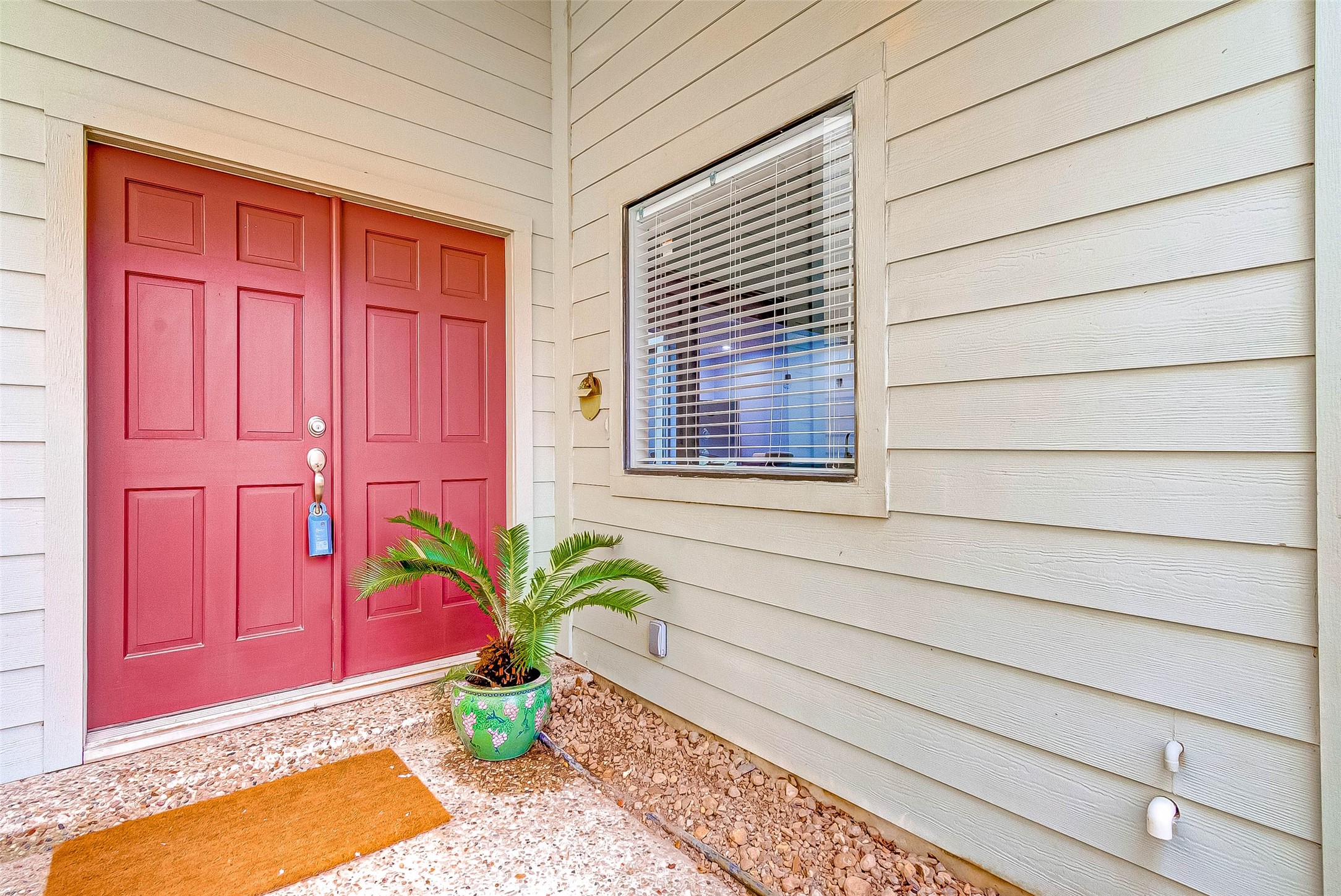 395 Rancho Bauer Drive Houston, TX 77079 - Photo 8 of 50 a potted plant in front of a door