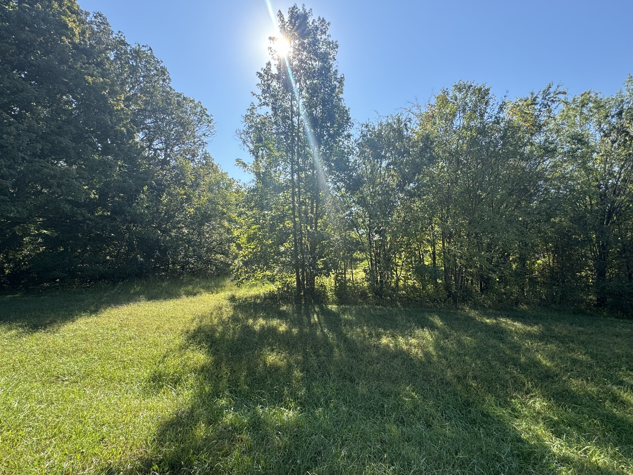 0 Main Street Huntland, TN 37345 - Photo 1 of 10 a view of a green yard with a house in the background