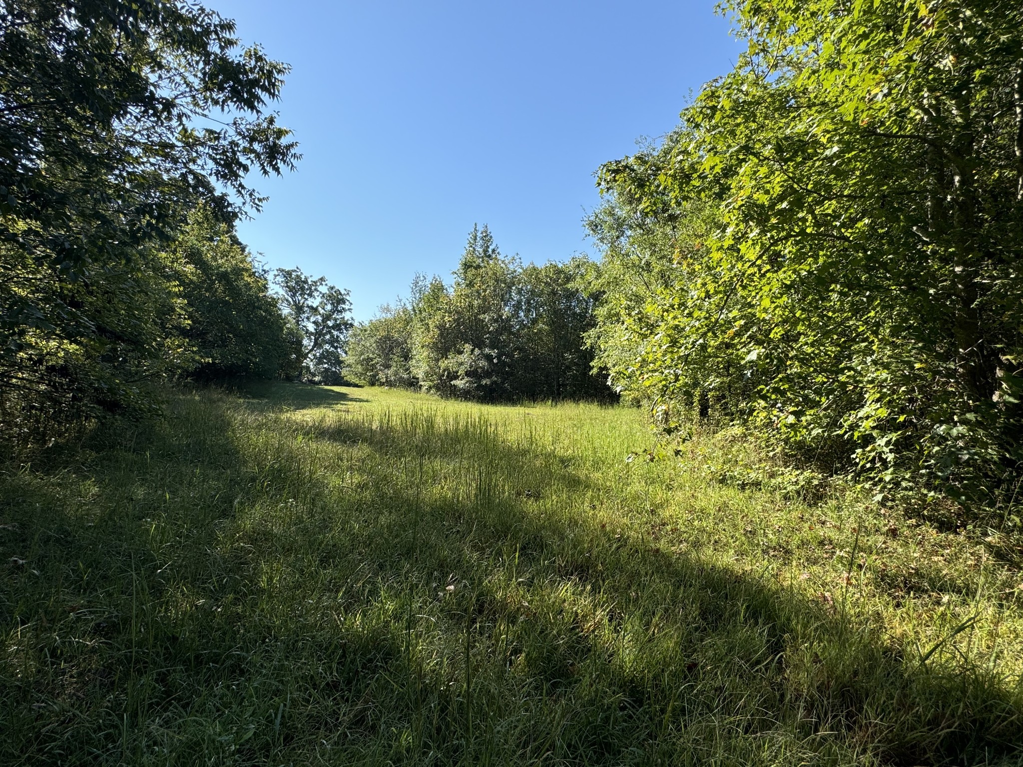 0 Main Street Huntland, TN 37345 - Photo 5 of 10 a view of a garden with a lake