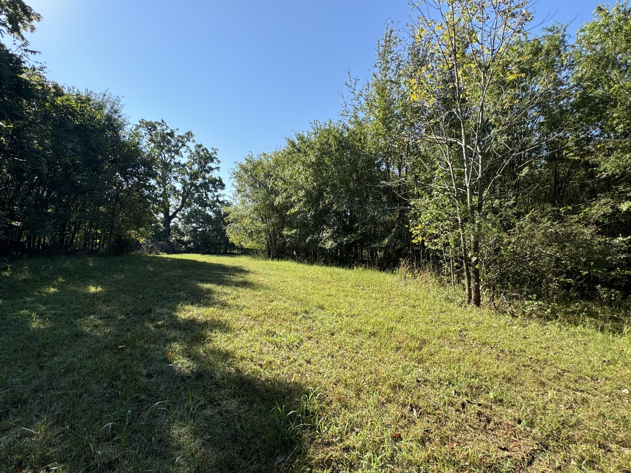 0 Main Street Huntland, TN 37345 - Photo 8 of 10 a view of outdoor space with a garden