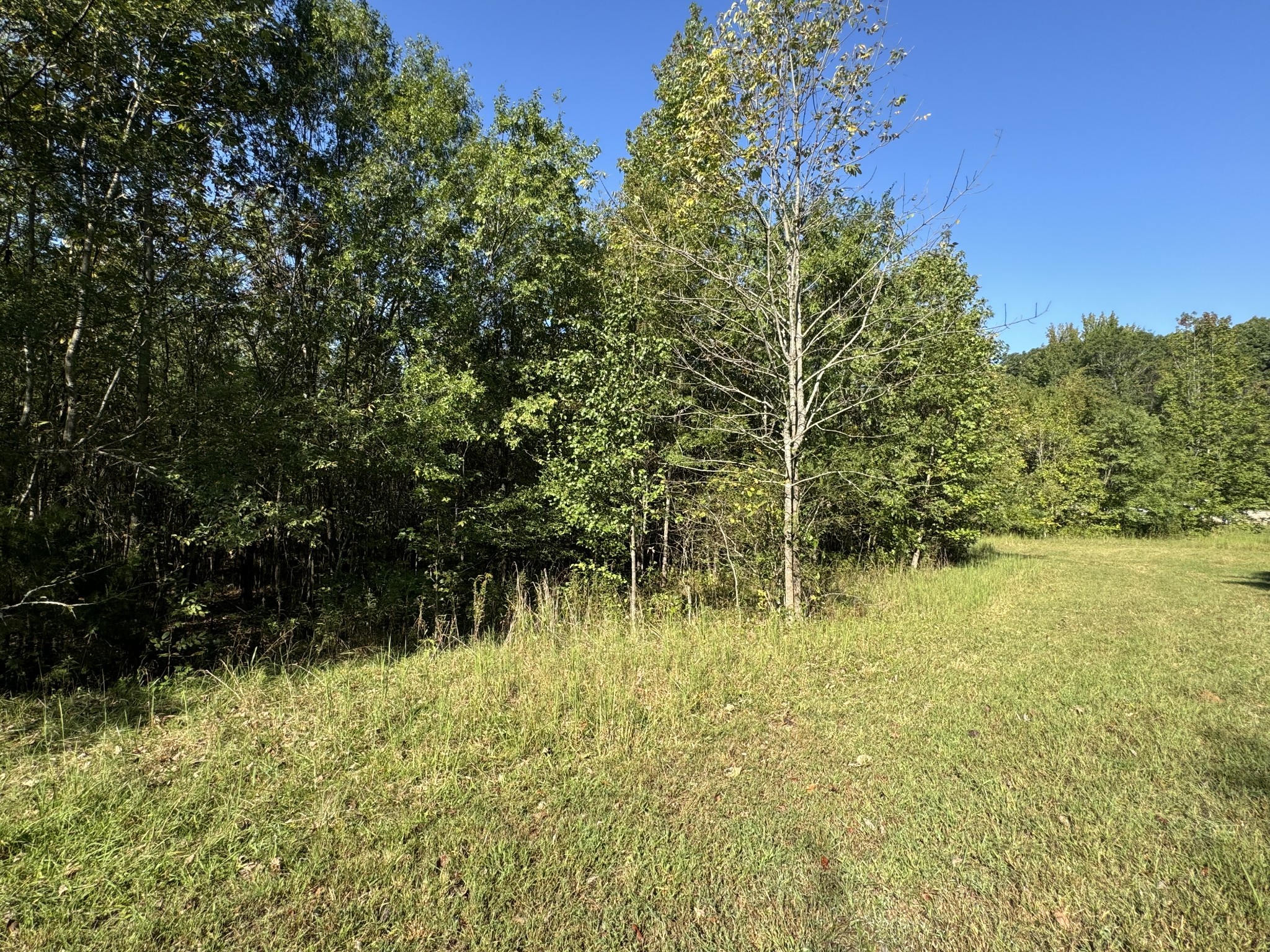 0 Main Street Huntland, TN 37345 - Photo 9 of 10 a view of lake view