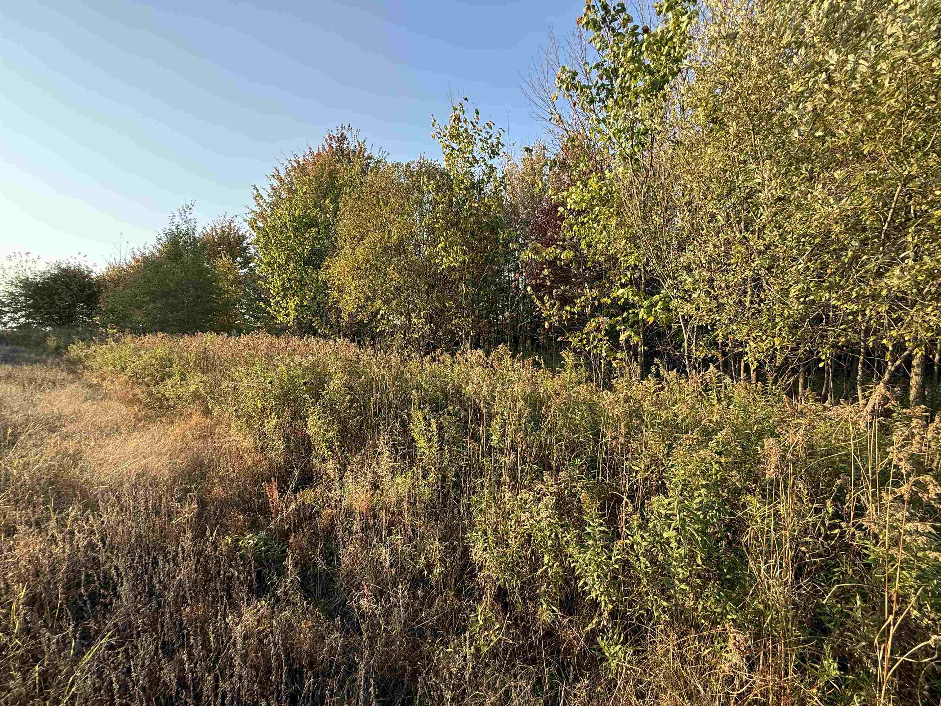 Lot 3 Eau Claire River Road Ringle, WI 54471 - Photo 14 of 19