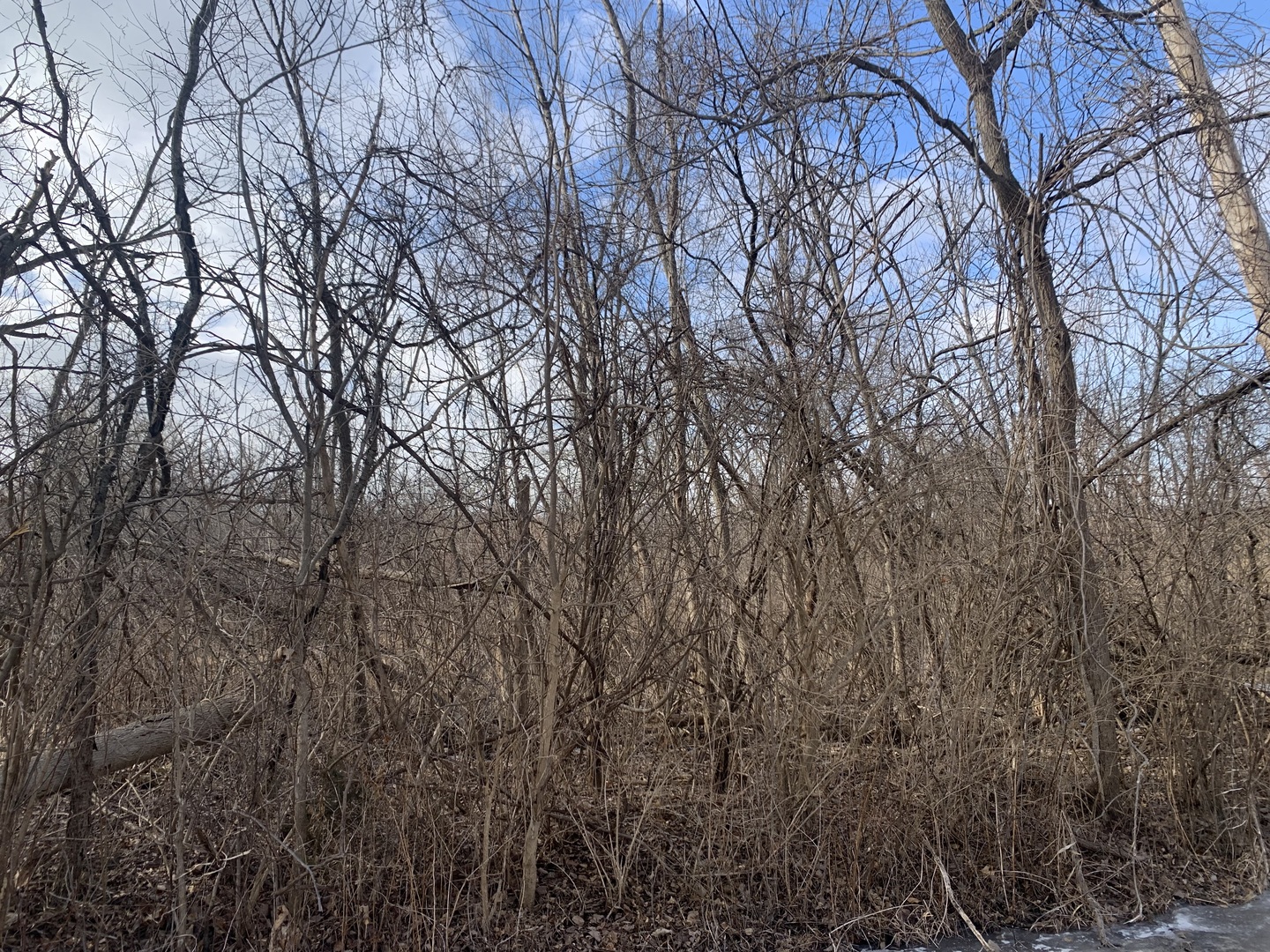 0 Riverside Drive Crystal Lake, IL 60014 - Photo 1 of 1