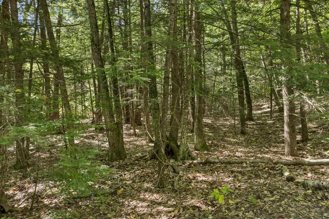 $150,000 | Lot 5-2-1 Lot 5-2-1 Jesus Valley Road, Alton Bay, NH 03810