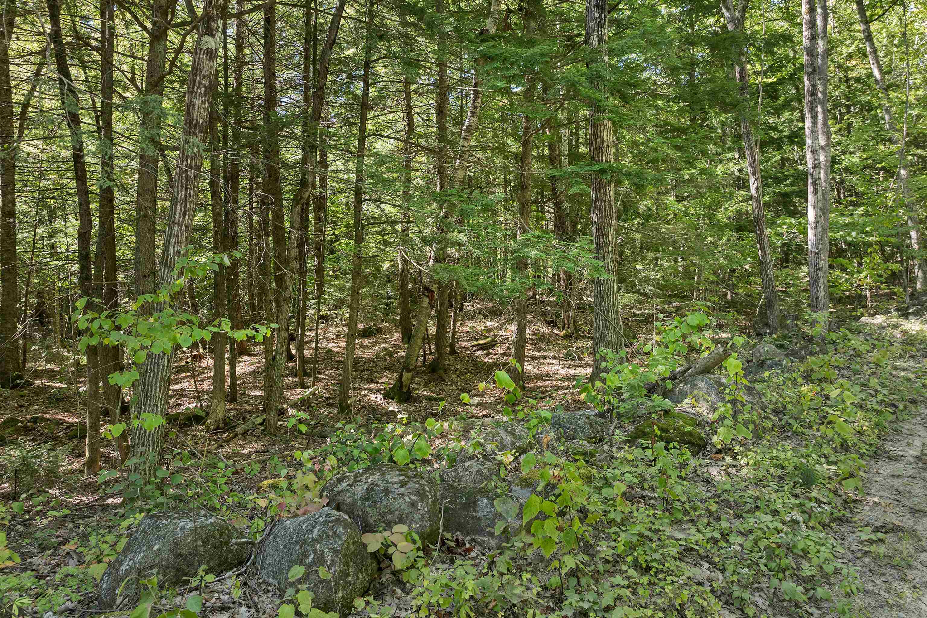 Lot 5-2-1 Lot 5-2-1 Jesus Valley Road Alton Bay, NH 03810 - Photo 7 of 11