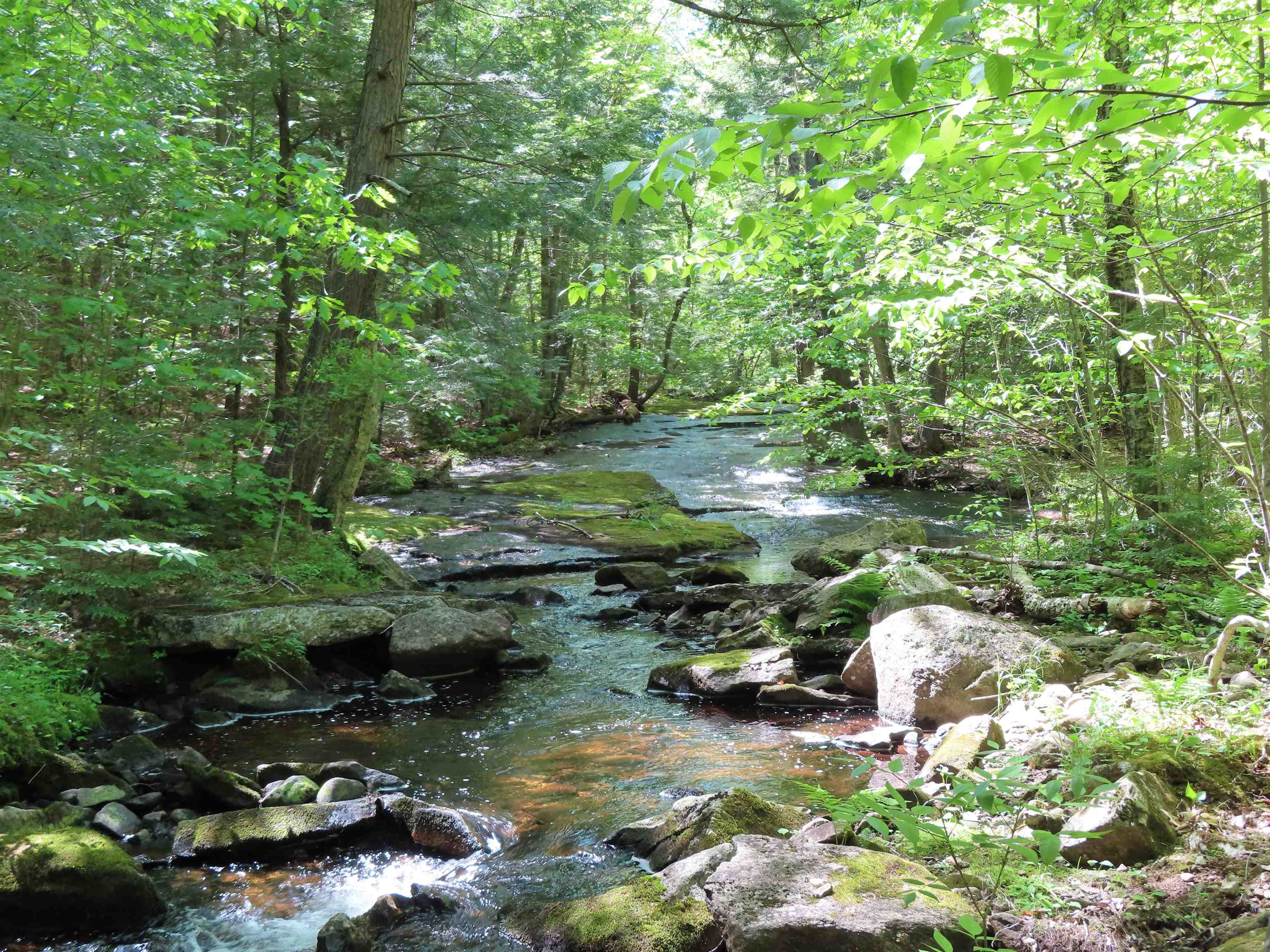 Lot 5-2-1 Lot 5-2-1 Jesus Valley Road Alton Bay, NH 03810 - Photo 8 of 11