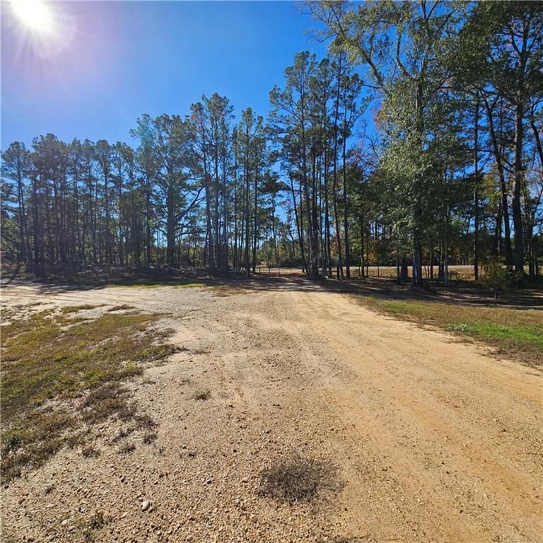 1555 Nelms Loop Colfax, LA 71417 - Photo 20 of 23