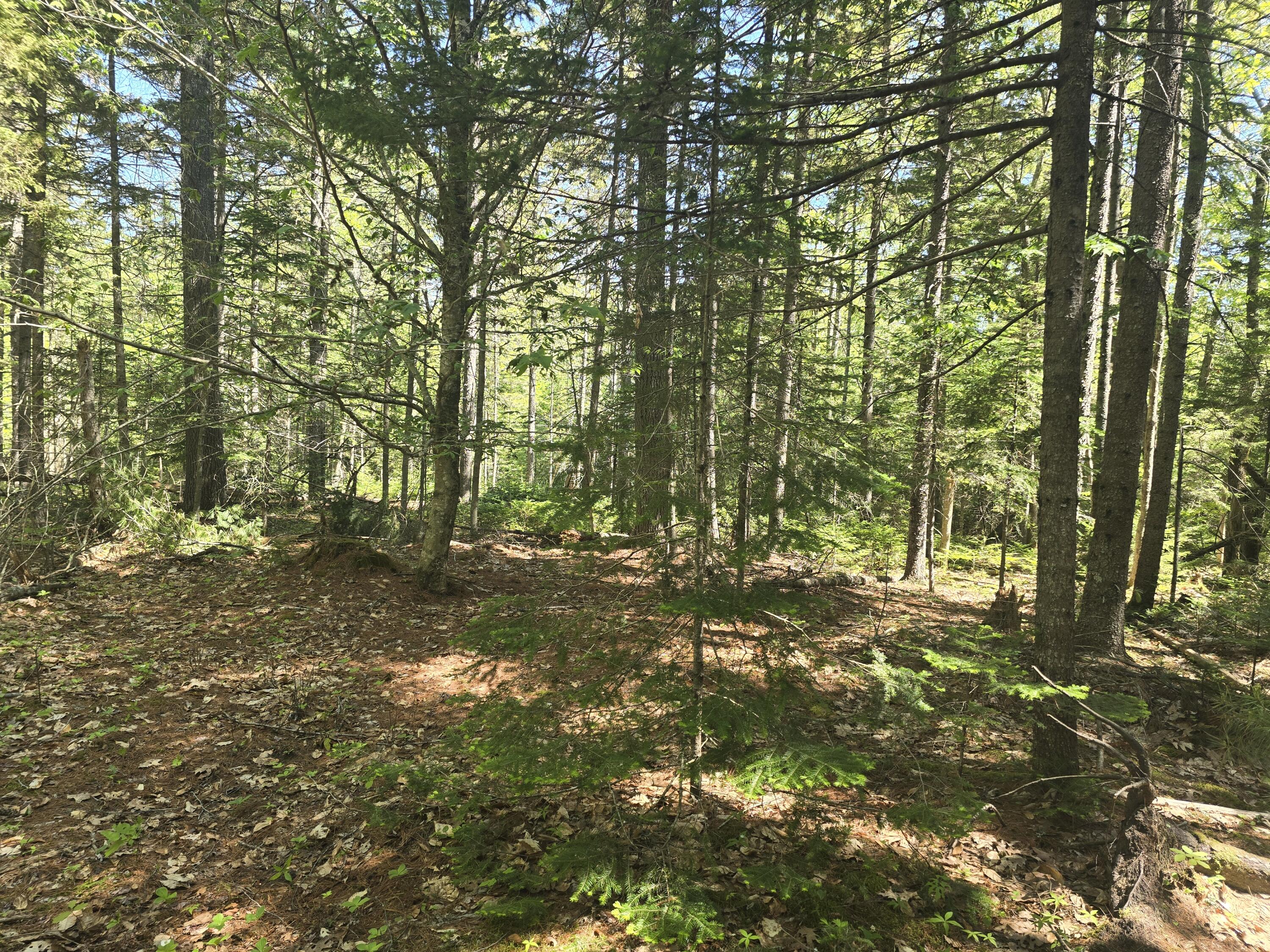 0 Boothbay Road Edgecomb, ME 04556 - Photo 11 of 20 20260603_103202