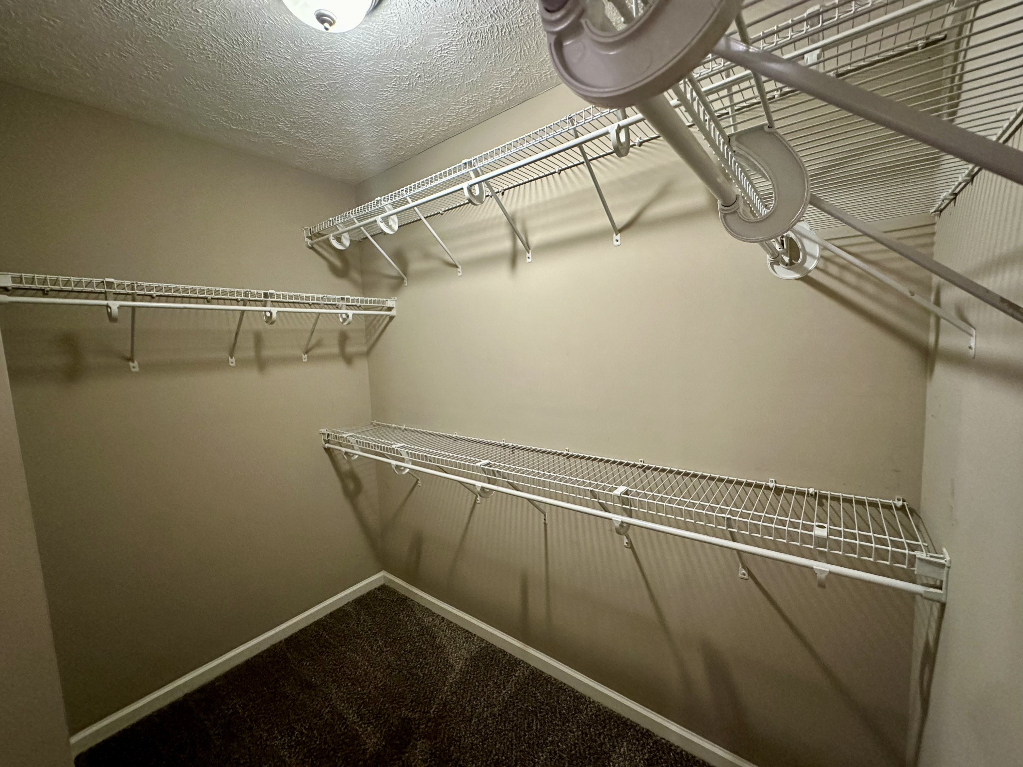 3381 Cornerstone Drive Murfreesboro, TN 37128 - Photo 11 of 17