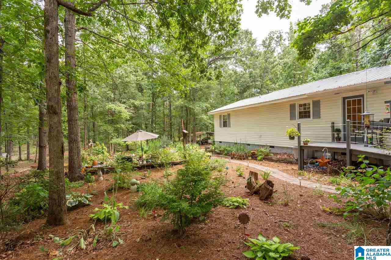 501 Eagle Bald Road Jacksonville, AL 36265 - Photo 24 of 49 Gallery Image 24