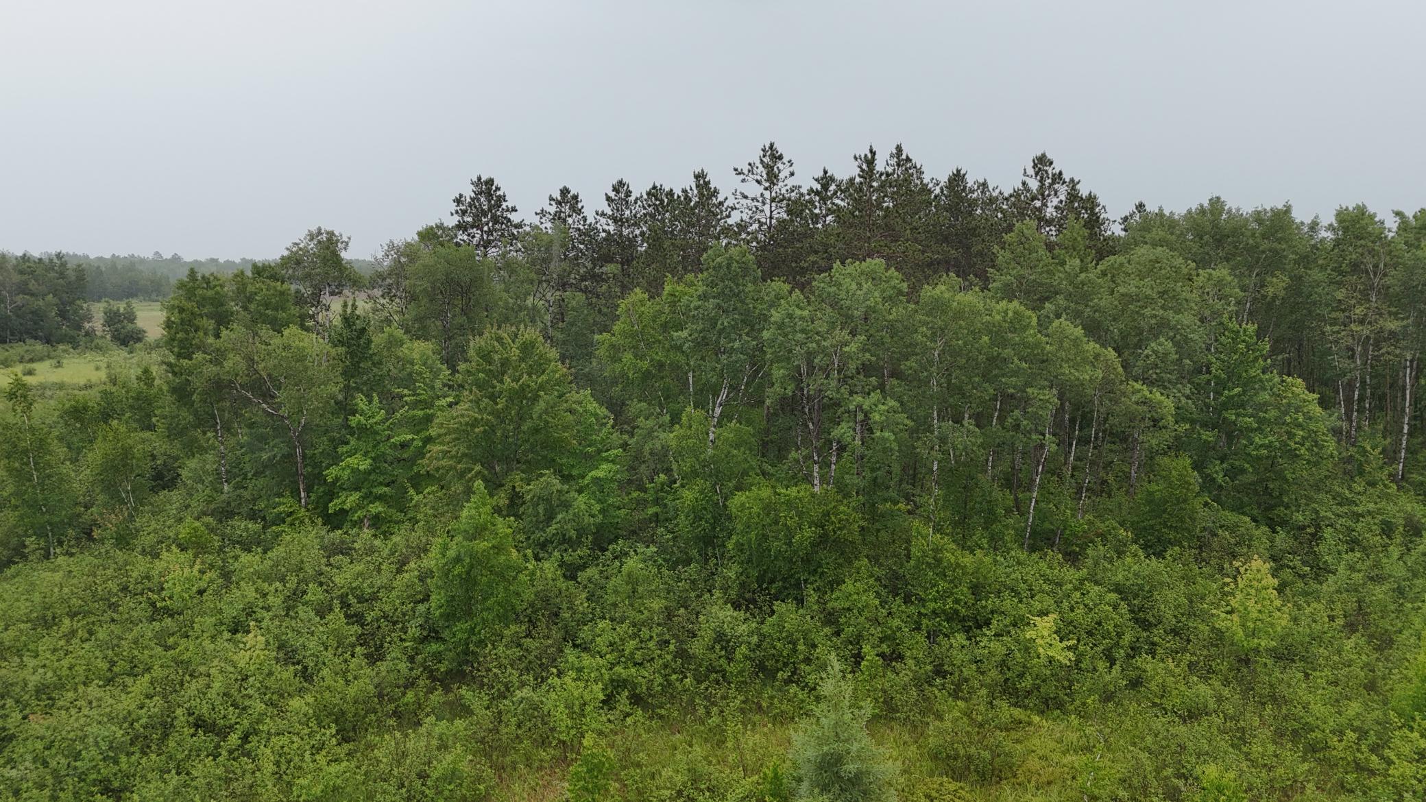 Tbd Klejeski Road Sandstone, MN 55072 - Photo 27 of 32